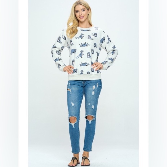π¦ Raccoon Print Pullover Sweater Sweatshirt - Picture 5 of 11